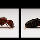 Illustration for article titled Shooting Challenge Stereogram Gallery 1